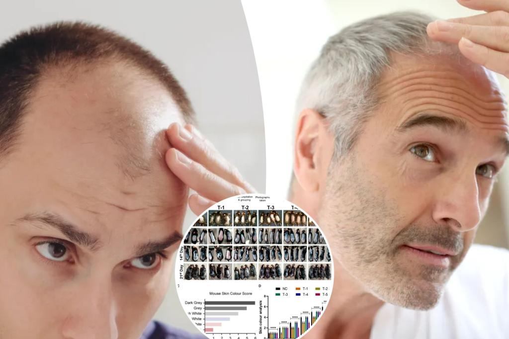 A breakthrough for baldness?  Sugar gel stimulates hair growth