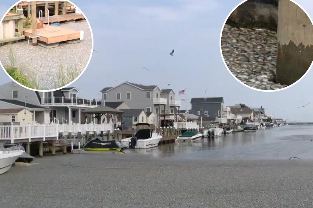 NJ residents forced to stay indoors as 'disgusting' smell of rotting fish plagues city: 'You can't breathe'