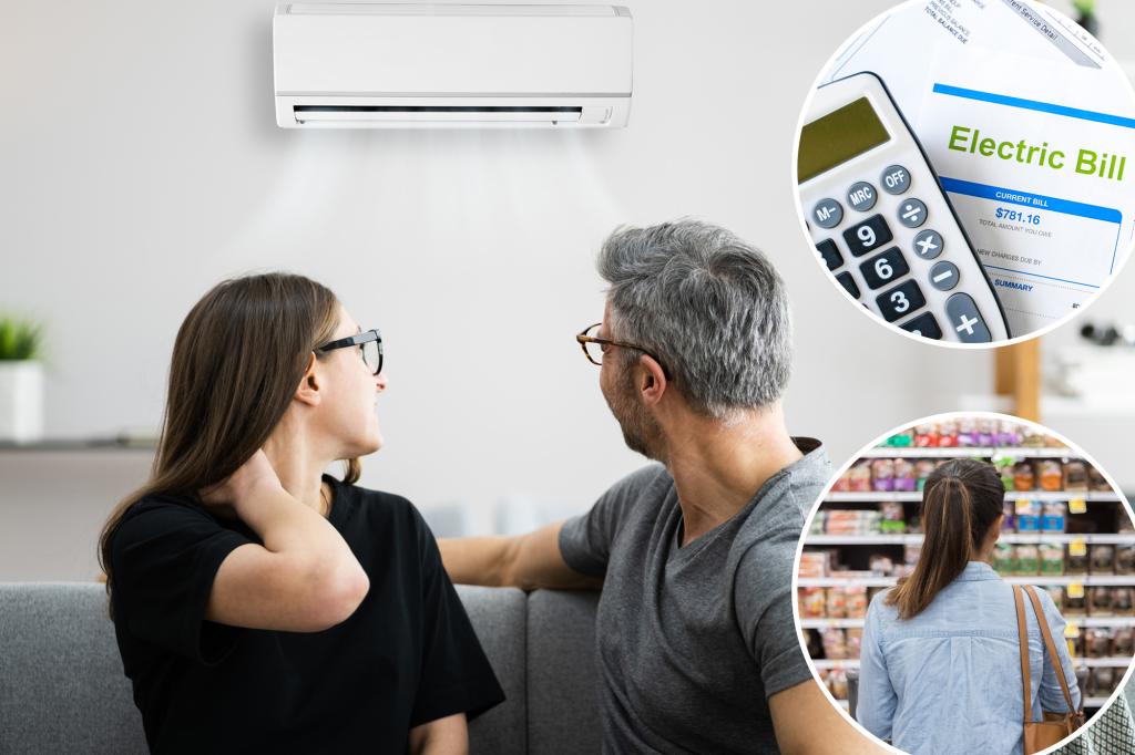 Households are cutting back on food spending to cope with air conditioning amid the summer heat