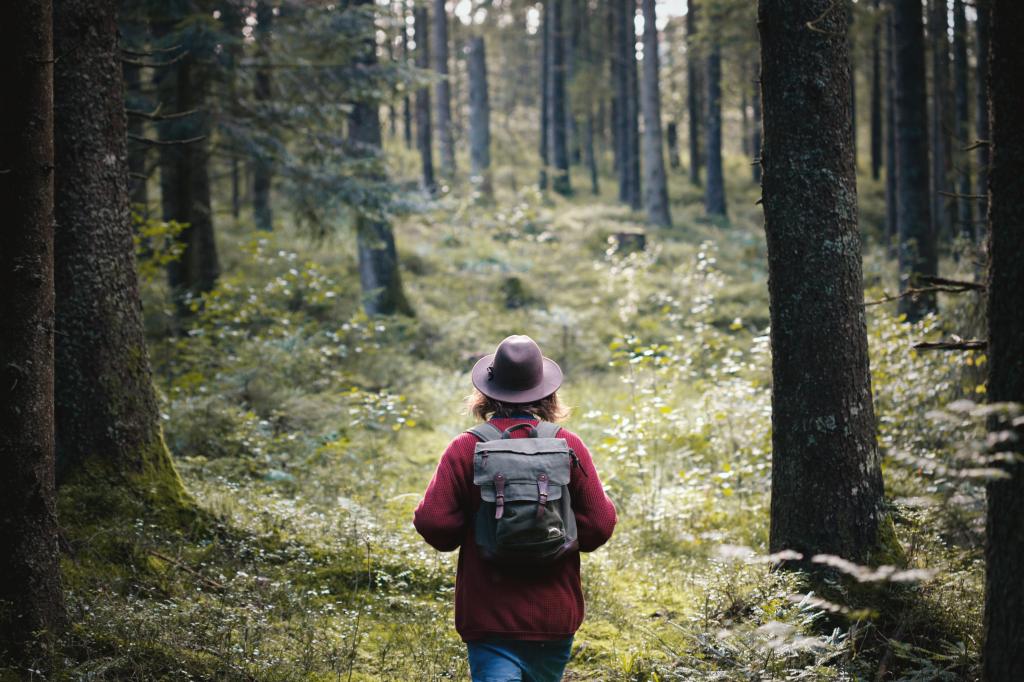 If you see this color painted on a tree in the forest, your life may be in danger - here's why