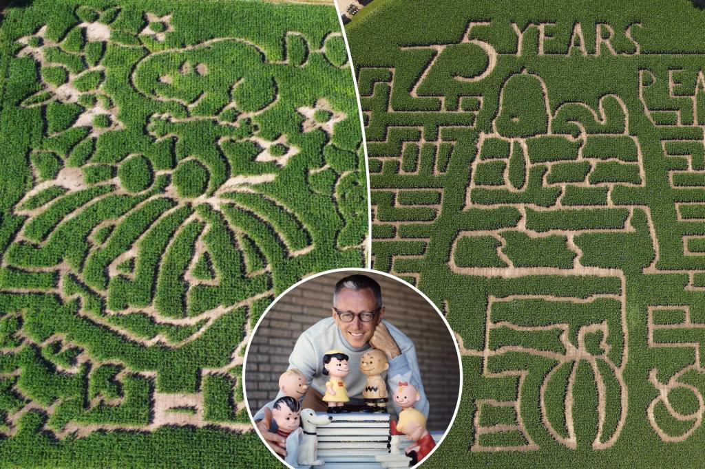 Farmers carve 'Peanuts' comic characters into corn mazes across country to celebrate 75th anniversary